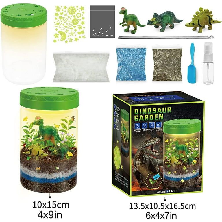 Dinosaur Garden 7
